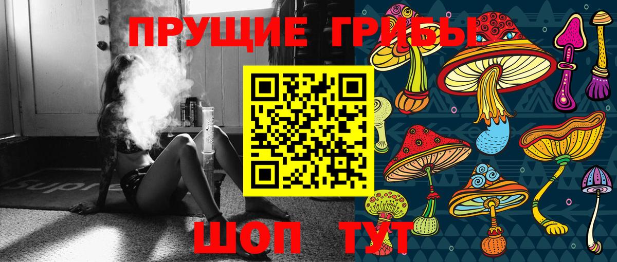 Мценск  Псилоцибиновые грибы ЛСД  Вход с VPN 