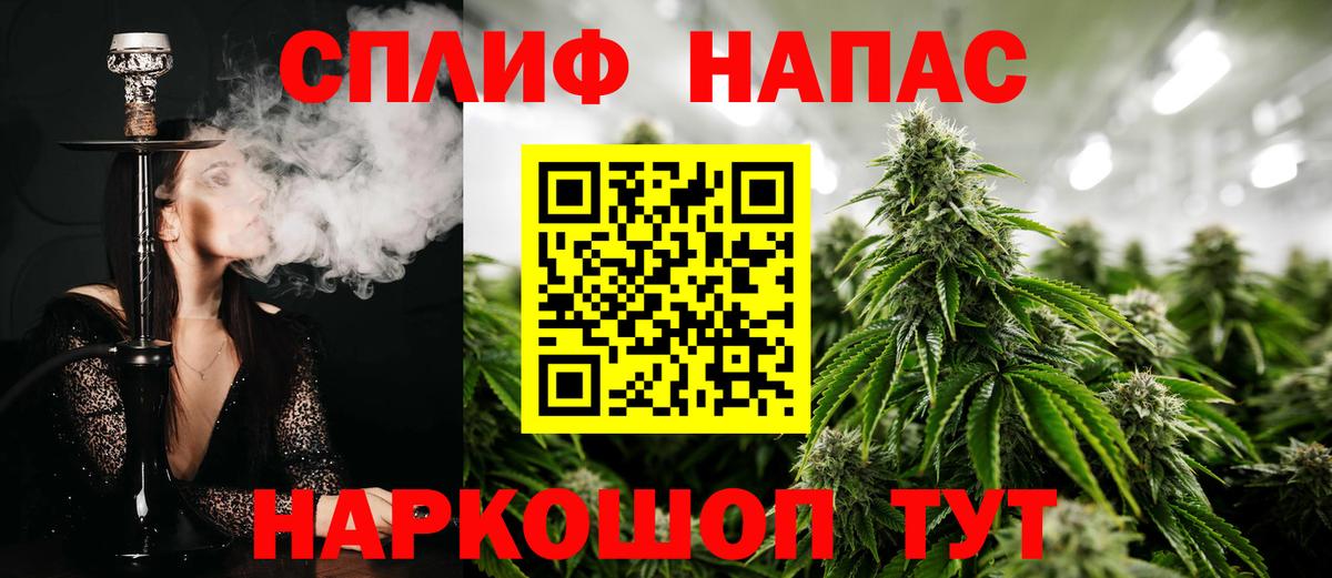 Каннабис сатива Мценск